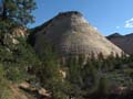 Zion - Checkerborad Mesa